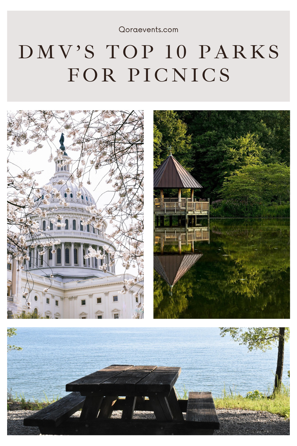 The Top 10 Parks in the DMV for a Stunning Picnic Experience – Qora Events
